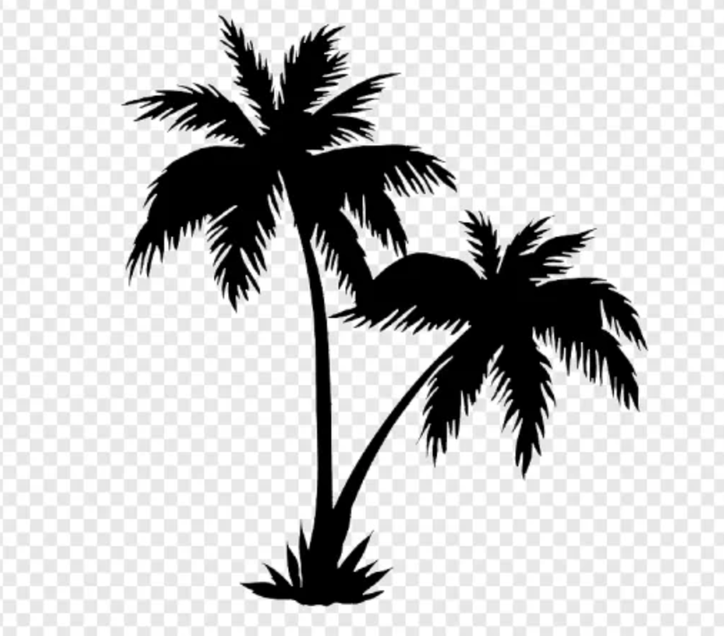 Two Palm tree